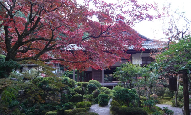 金剛輪寺（イメージ）