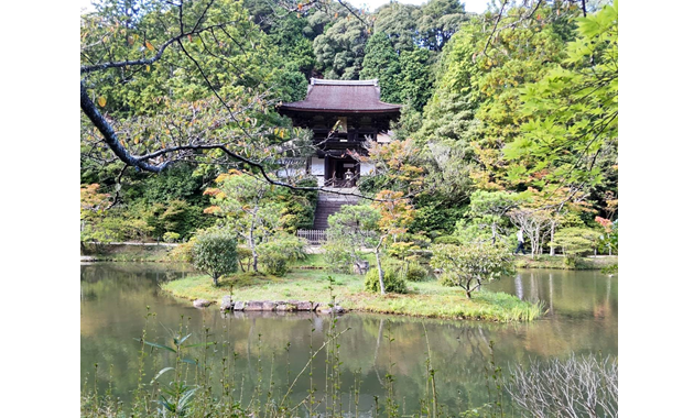 　　　　　　　　　　　　　　　　　　　　　　　　円成寺