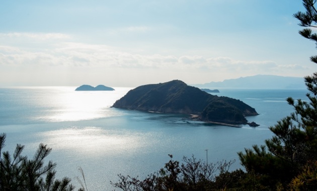 かしわの山展望台