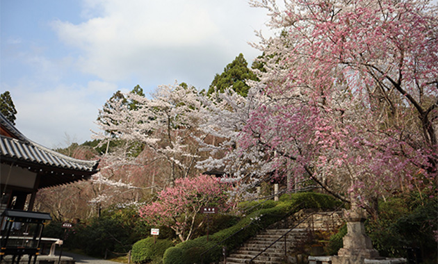 三千院
