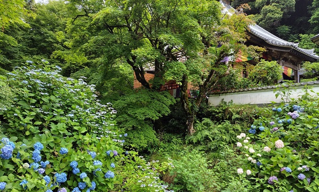 東光院(イメージ)