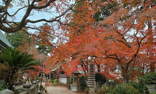 正法寺の紅葉