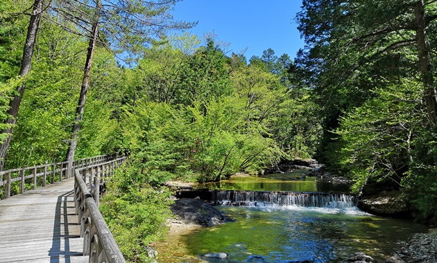 赤沢自然休養林