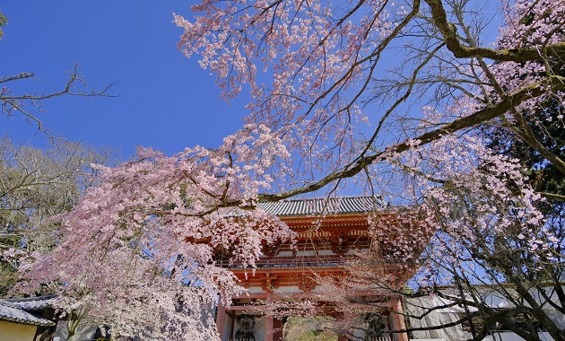 醍醐寺西門(イメージ)