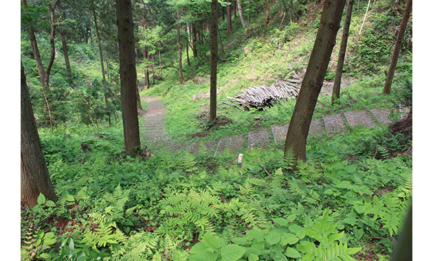 増山城・登城道.