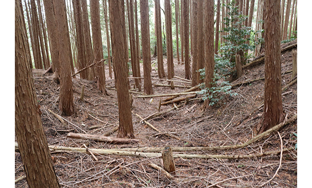 佐味城・虎口