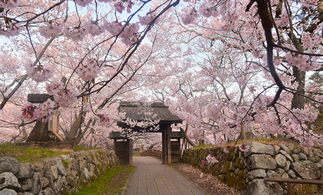 高遠城址公園