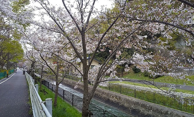 山科疎水（イメージ）