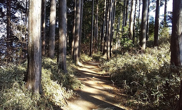 比叡山峰道