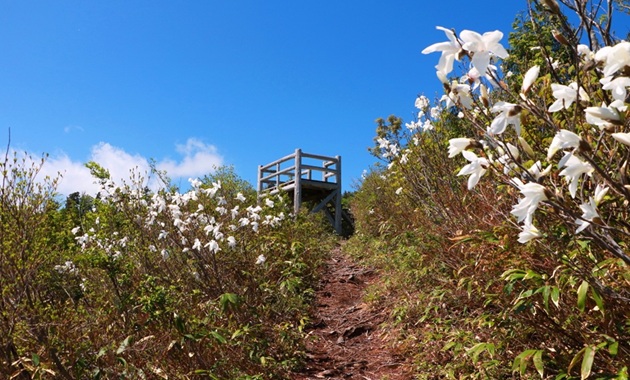 ふくべ谷上園地展望台