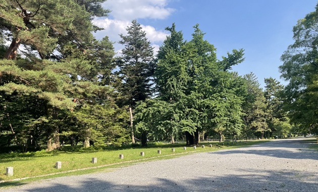 京都御苑