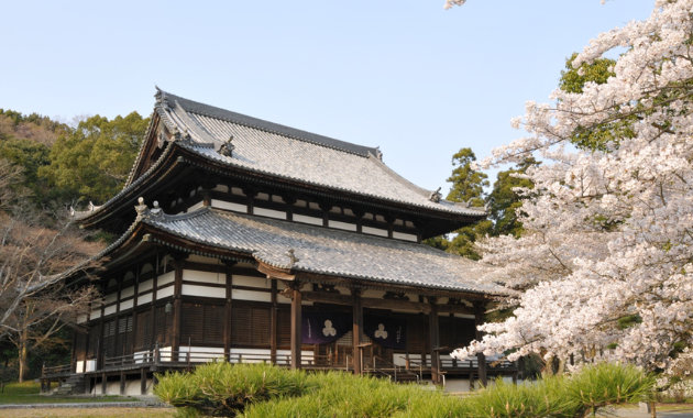 根来寺の桜（イメージ）