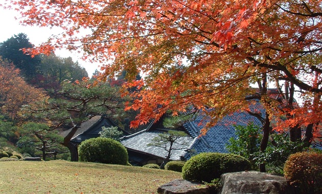 百済寺(提供：滋賀県フォトライブラリー)