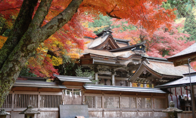 紅葉の大矢田神社（イメージ）