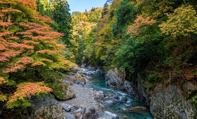 紅葉の金鈴峡(イメージ)