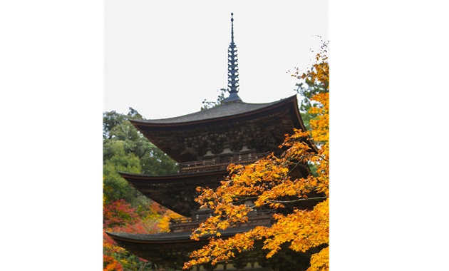 西明寺(提供：滋賀県フォトライブラリー)