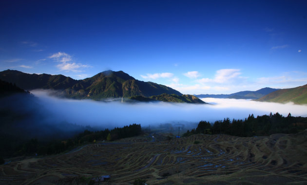霧の流れる丸山千枚田（イメージ）