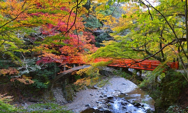 高雄・指月橋(イメージ)