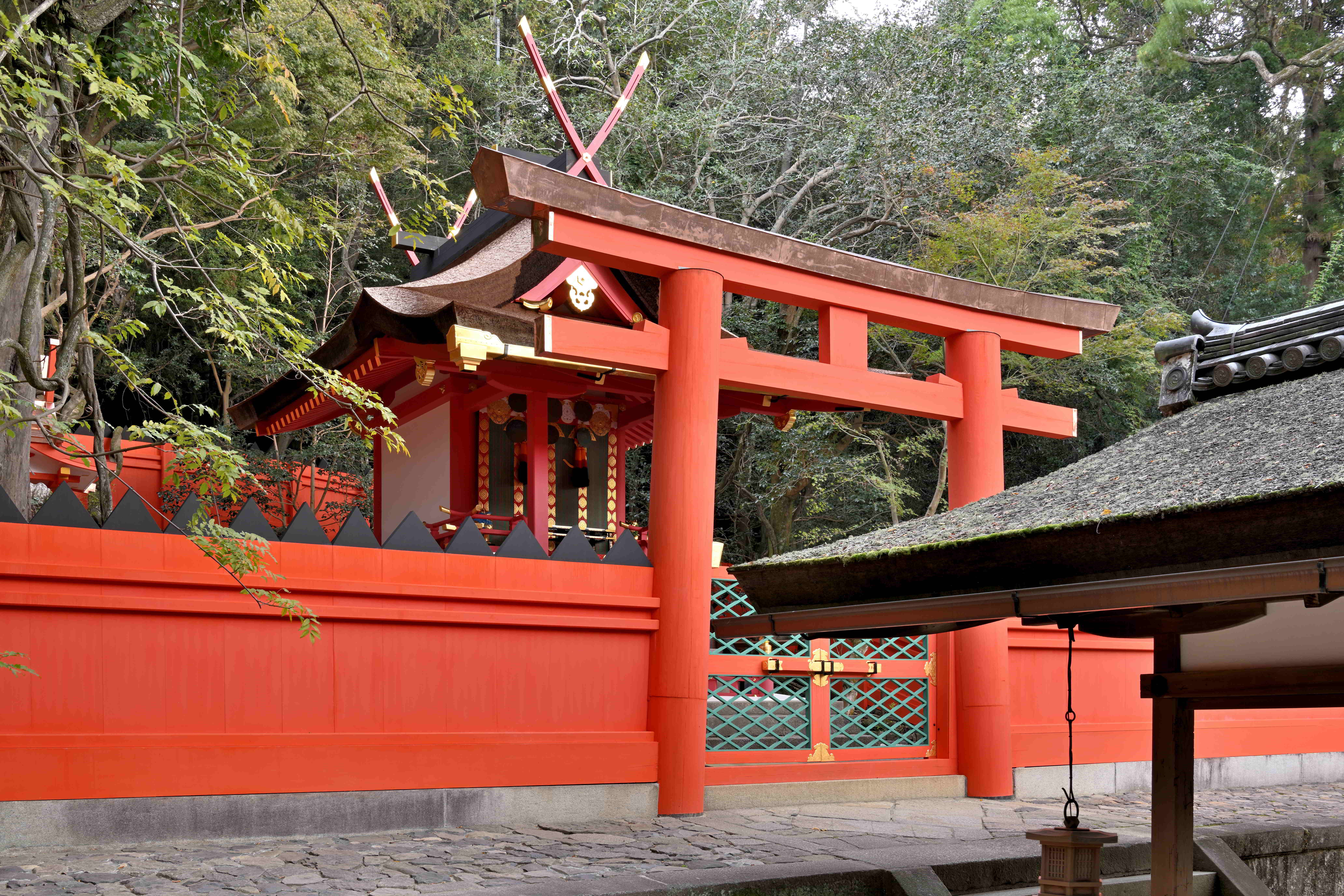 春日若宮神社本殿　【提供：春日大社　写真：桑原　英文】
