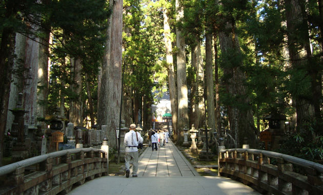 高野山奥の院（イメージ）