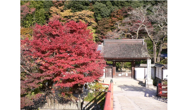 室生寺　写真提供：一般財団法人奈良県ビジターズビューロー