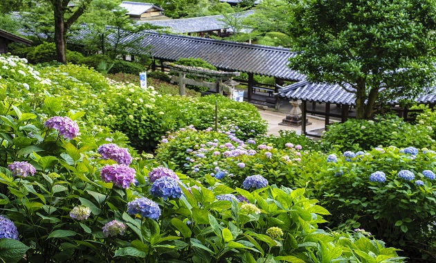 吉備津神社(岡山県観光連盟提供)
