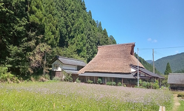 北山友禅菊とかやぶき小屋(イメージ)