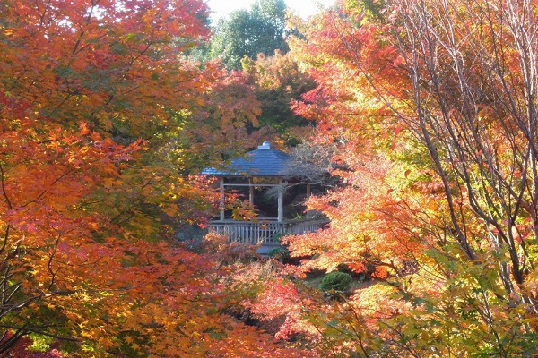 JRで行く旅特選プラン・三景園の紅葉(イメージ)