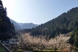 関西／大阪・兵庫の山