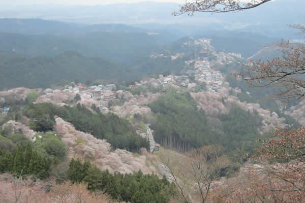 関西／奈良の山