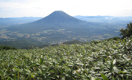 樽前山・後方羊蹄山・ニセコアンヌプリ