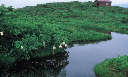赤兎山と荒島岳