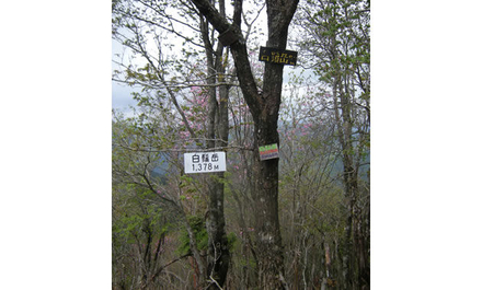 白鬚岳