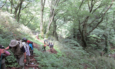 鉢伏山と氷ノ山