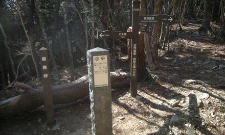 三浦峠越えと果無越え（小辺路・果無編）