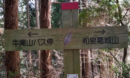 和泉葛城山