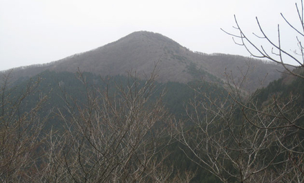奥高野から伯母子岳を越え五百瀬へ（小辺路・高野編）