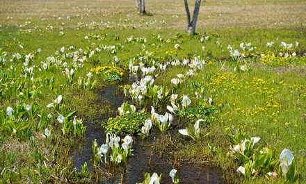 北飛騨観音山と池ケ原湿原