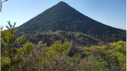 三上山北尾根