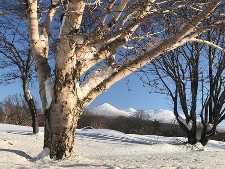 「八甲田山」山岳スキー4日間