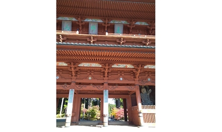 紅葉の高野山・町石道と丹生都比売神社