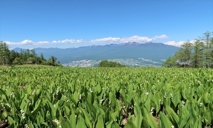 入笠山・飯盛山