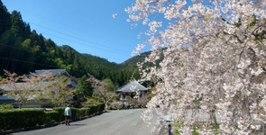 毎日山の旅・登山ツアー