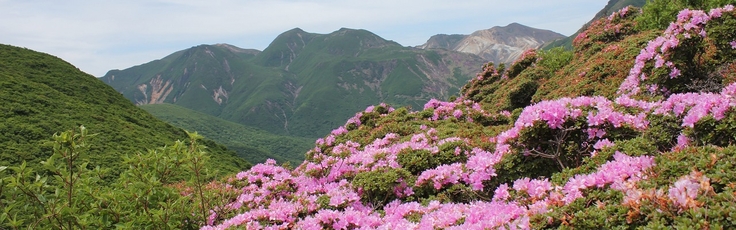 毎日山の旅・登山ツアー