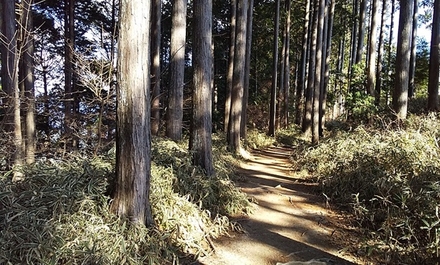 ＜女性限定＞比叡山峰道でめぐる延暦寺三塔