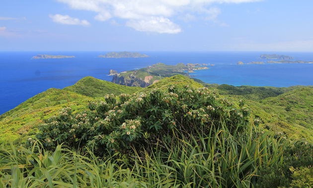 小笠原諸島母島乳房山からの展望小笠原観光協会提供（イメージ）