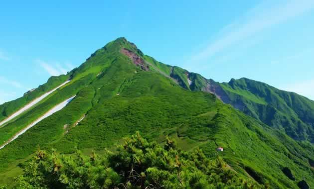 長官山付近から見た利尻山（イメージ）　写真提供：田中屋ひなげし館／撮影7月ごろ