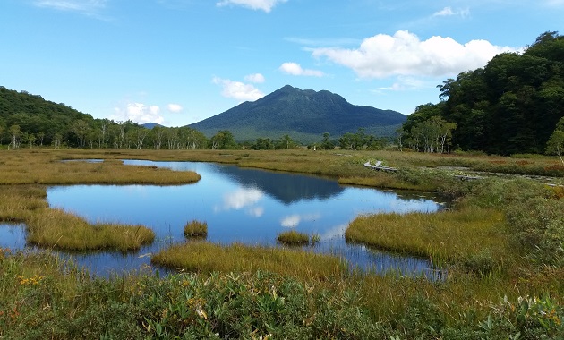 尾瀬の池塘と燧ヶ岳（イメージ）