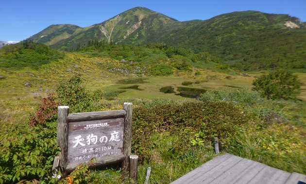 火打山・天狗の庭(イメージ)