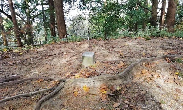 展望が無い太神山(イメージ)